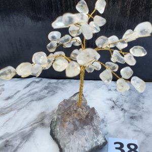 Tree38 (4)