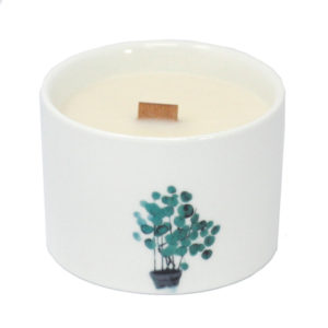 Mulberry Plant Candle
