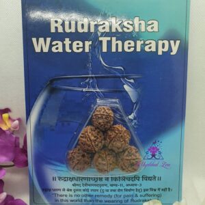 Rudraksha Water Therapy beads