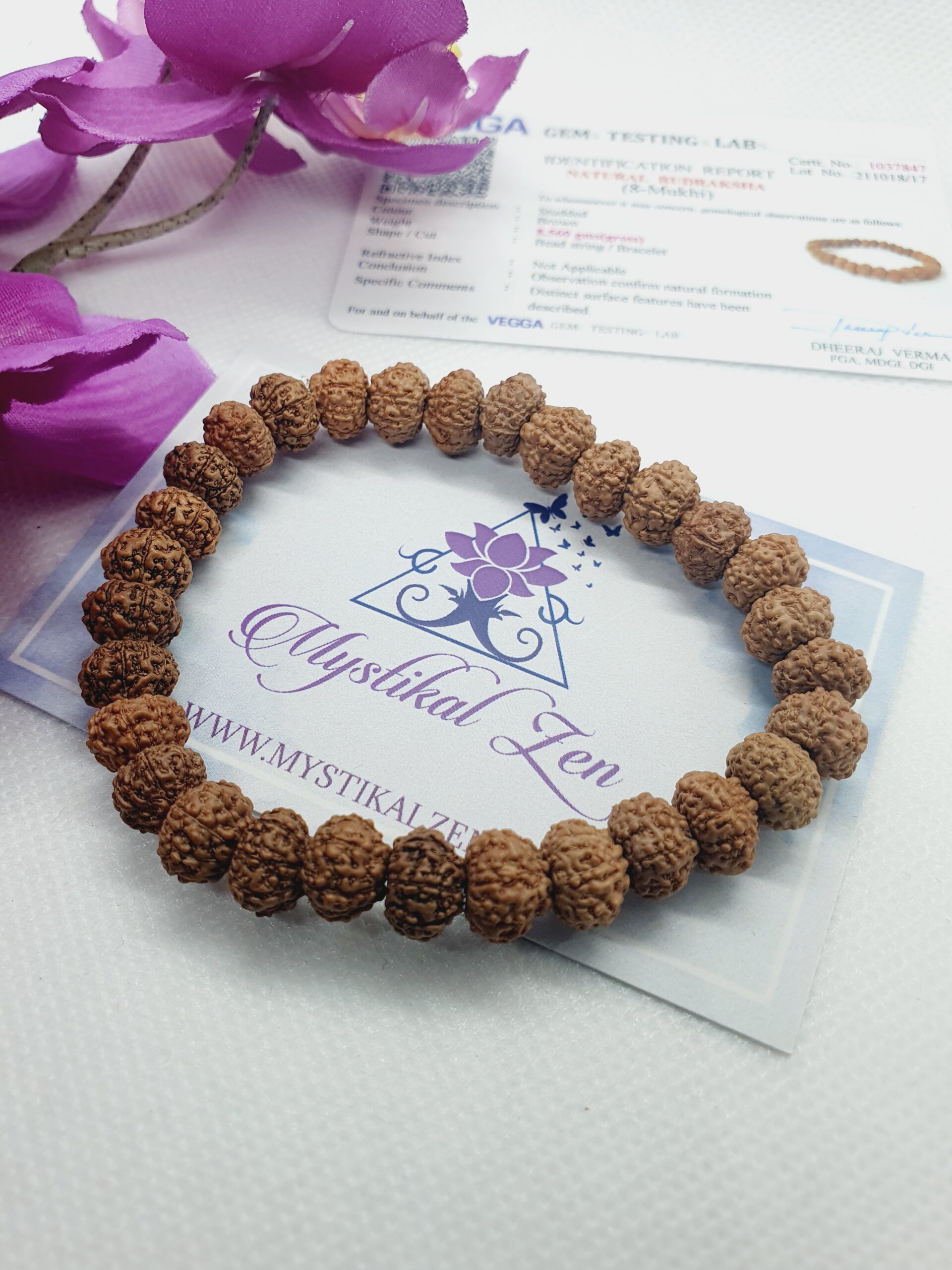 Rudraksha Beads Rishikesh | Rudraksha Beads In Rishikesh | Rudraksha Mala | Rudraksha  Bracelet | Rudraksha Necklace | Rudraksha Earrings In Rishikesh | Rudraksha  Pendant In Rishikesh | Rudraksha Stone | 1 Mukhi Rudraksha In Rishikesh | 2  Mukhi ...